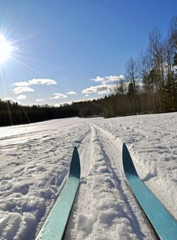 Cross country skiing in Sweden.