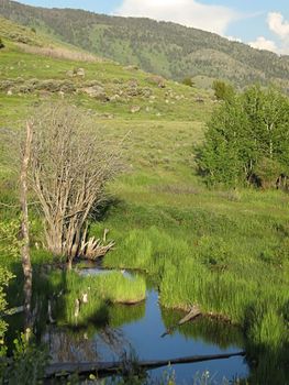 A photograph of mountain scenery in the United States.