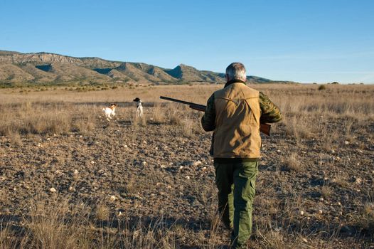 Hunter walking along the countryside with his dogs