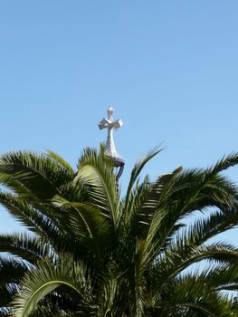 Palm tree and crucifix in Barcelona