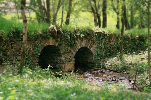 nice little stone bridge in a forest