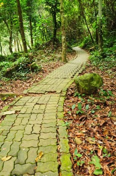 Walk path  in the park