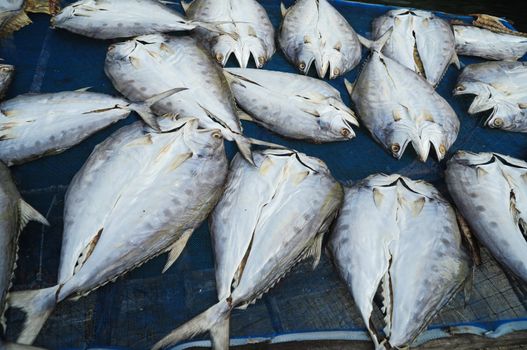 Dried Fish