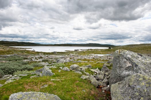 Rural landscape in the national park of Norway named Hardangervidda.
