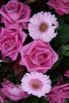 A floral arrangement of pink roses and gerberas shortly after a rain shower