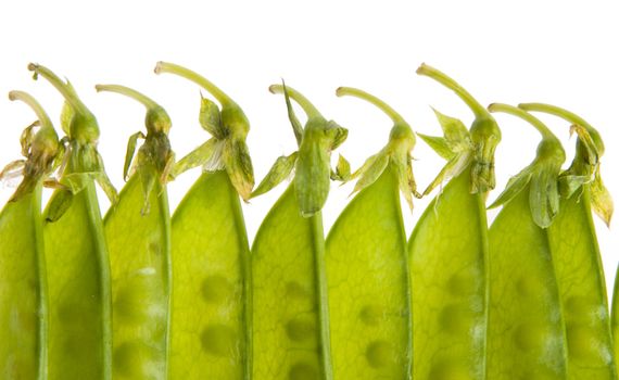 Closeup of green pea pods isolated