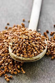 Buckwheat seeds on wooden spoon in closeup