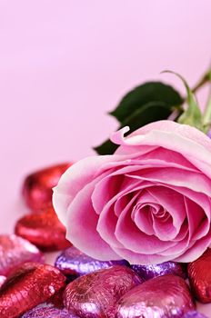 Pink rose with Valentine's chocolates wrapped in red and purple foil