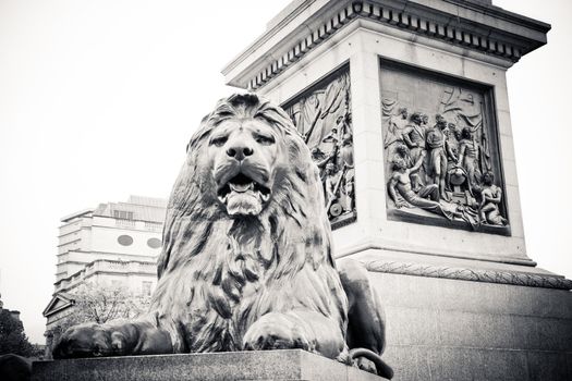 Lion statue on Trafalgar Square