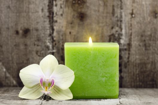 an orchid flower with a green candle