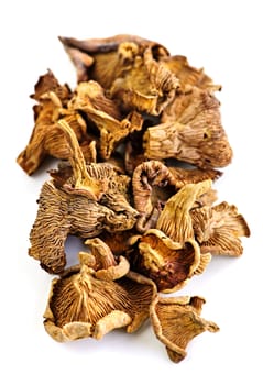 Dried chanterelle mushrooms isolated on white background