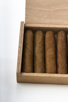 Cuban cigar in a small wood box