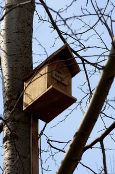 Bird House on a tree. High resolution image.