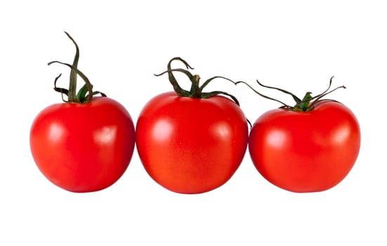 Red tomato isolated on white. Fresh red tomato. Sweet  vegetable.