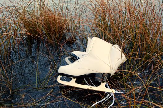 A pair of female dance skates