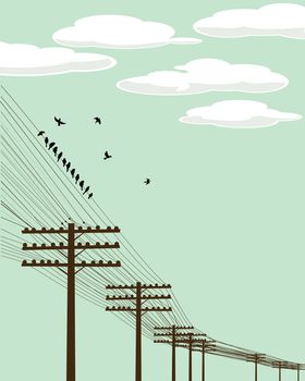 Electricity poles and birds silhouettes background illustration