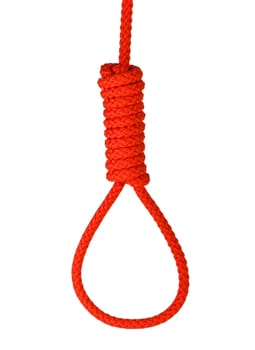 Noose isolated on white. Noose made of rope. Stock image.