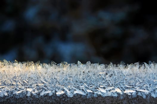 Close-up of a border with ice crystals against a dark background