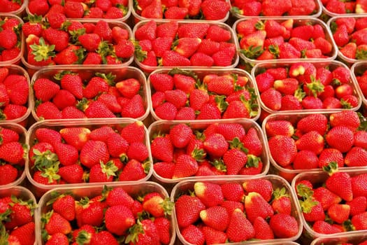 strawberries in baskets on a fresh market
