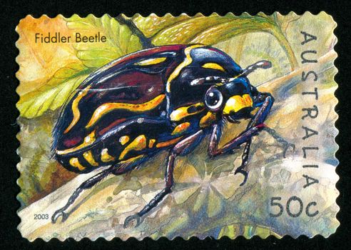 AUSTRALIA - CIRCA 2003: stamp printed by Australia, shows Fiddler beetle, circa 2003
