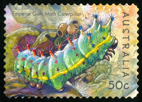 AUSTRALIA - CIRCA 2003: stamp printed by Australia, shows Emperor gum moth caterpillar, circa 2003