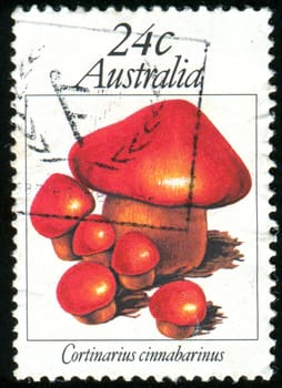 AUSTRALIA - CIRCA 1981: stamp printed by Australia, shows Fungi, Cortinarius cinnabarinus, circa 1981