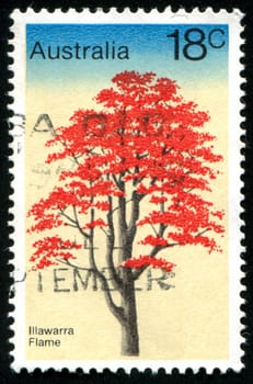 AUSTRALIA - CIRCA 1978: stamp printed by Australia, shows Illawarra Flame tree, circa 1978