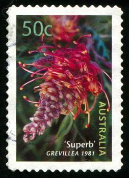 AUSTRALIA - CIRCA 2003: stamp printed by Australia, shows Superb grevillea, circa 2003