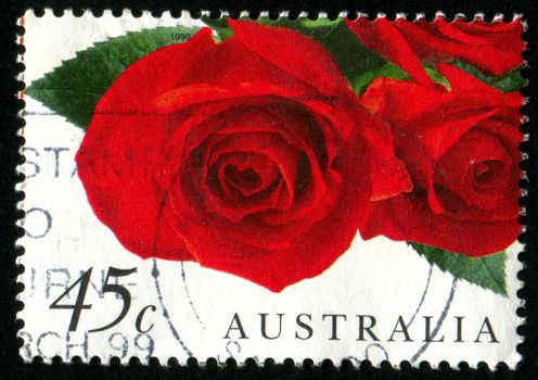 AUSTRALIA - CIRCA 1999: stamp printed by Australia, shows rose, circa 1999