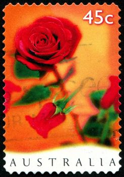 AUSTRALIA - CIRCA 1997: stamp printed by Australia, shows rose, circa 1997