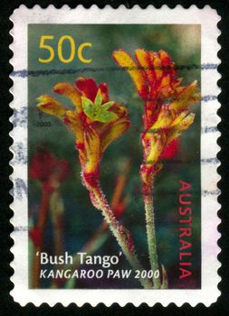AUSTRALIA - CIRCA 2003: stamp printed by Australia, shows Bush Tango kangaroo paw, circa 2003