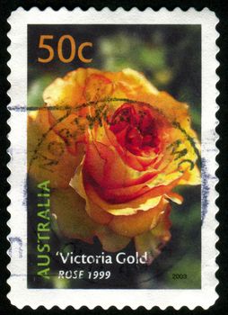 AUSTRALIA - CIRCA 2003: stamp printed by Australia, shows Victoria Gold rose, circa 2003