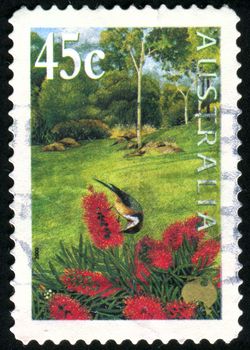 AUSTRALIA - CIRCA 2000: stamp printed by Australia, shows flowers in the garden, circa 2000