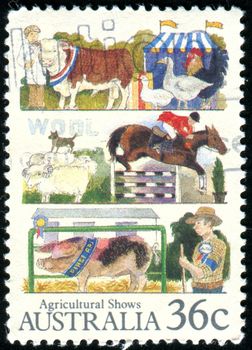 AUSTRALIA - CIRCA 1987: stamp printed by Australia, shows Agricultural shows, circa 1987