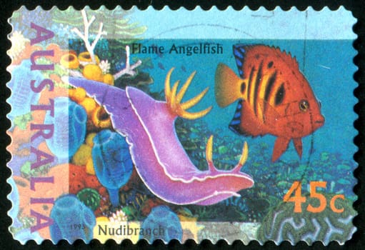 AUSTRALIA - CIRCA 1995: stamp printed by Australia, shows Flame angelfish, circa 1995