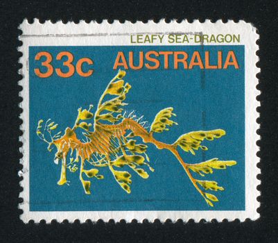 AUSTRALIA - CIRCA 1984: stamp printed by Australia, shows Leafy sea dragon, circa 1984