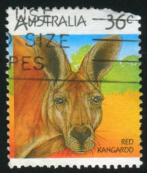 AUSTRALIA - CIRCA 1986: stamp printed by Australia, shows kangaroo, circa 1986