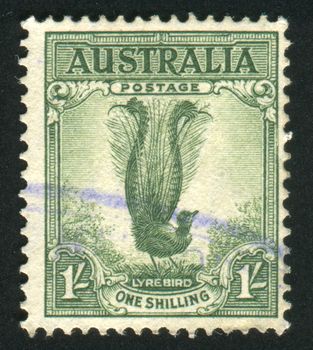 AUSTRALIA - CIRCA 1932: stamp printed by Australia, shows Male Lyrebird, circa 1932