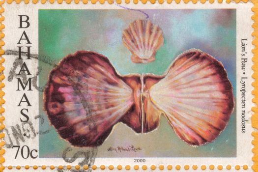 The scanned stamp. Stamp of the Bahamas. Sea bowl.