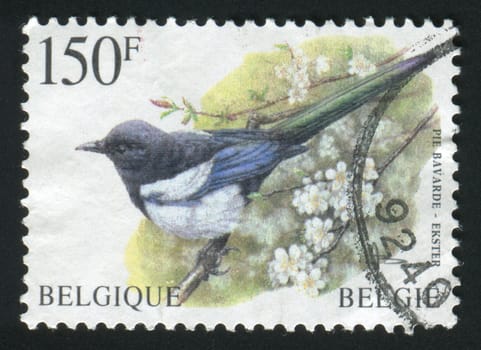 BELGIUM - CIRCA 1986: The bird sits on a blossoming tree, circa 1986.