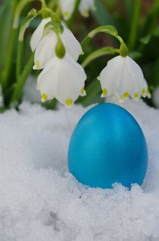 Lillies of the valley with snow with eggs