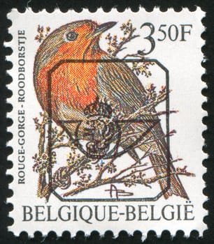 BELGIUM - CIRCA 1985: stamp printed by Belgium, shows bird Rouge gorge, circa 1985
