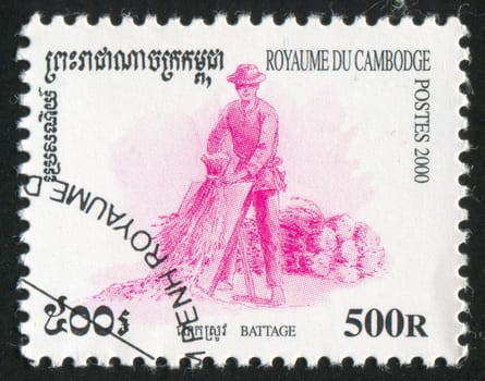 CAMBODIA - CIRCA 2000: stamp printed by Cambodia, shows Growing Rice, circa 2000