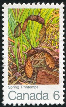 CANADA - CIRCA 1970: stamp printed by Canada, shows Spring, Winged Maple Seed, circa 1970