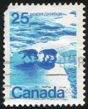 CANADA - CIRCA 1972: stamp printed by Canada, shows Polar bears, circa 1972