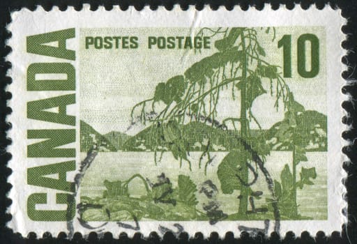 CANADA - CIRCA 1967: stamp printed by Canada, shows The Jack Pine� by Tom Thomson, circa 1967