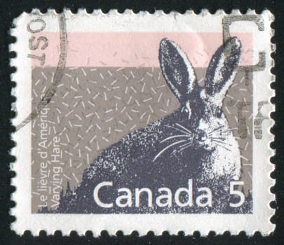 CANADA - CIRCA 1988: stamp printed by Canada, shows rabbit, circa 1988
