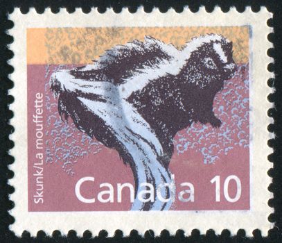 CANADA - CIRCA 1988: stamp printed by Canada, shows skunk, circa 1988