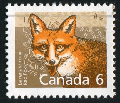 CANADA - CIRCA 1988: stamp printed by Canada, shows fox, circa 1988