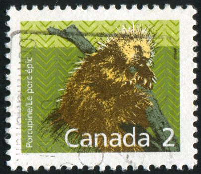 CANADA - CIRCA 1988: stamp printed by Canada, shows porcupine, circa 1988